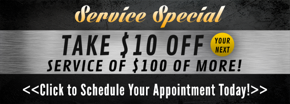 $10 Off Service over $100